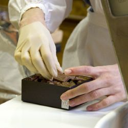 CHOC2
